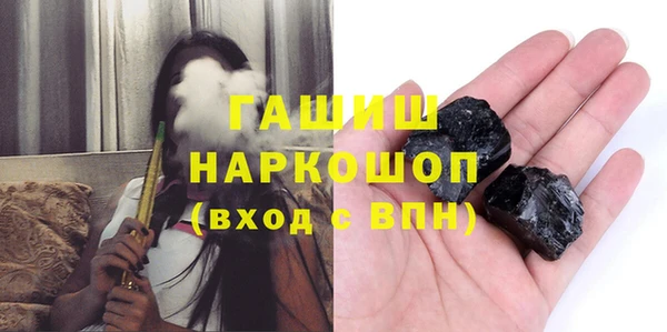 гашик Алексин