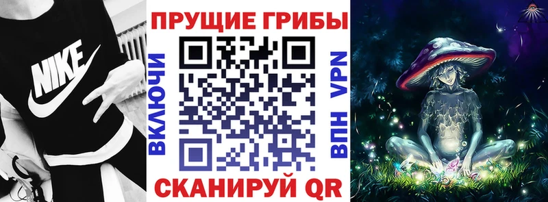 Галлюциногенные грибы Psilocybe  сайты даркнета официальный сайт  Крым 
